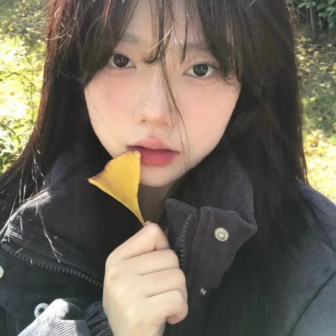 天鹅湖之恋